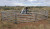 SMS Newmont Tanami mine WA 2
